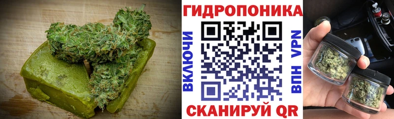 Cannafood марихуана  где можно купить наркотик  KRAKEN зеркало  Балтийск 
