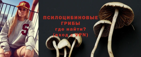 стаф Киренск