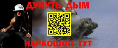 сатива Новозыбков