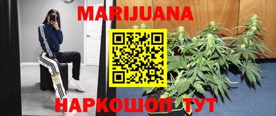 индика Вязьма