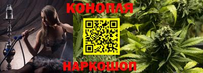 сатива Новозыбков