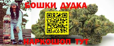 сатива Новозыбков