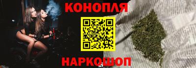 сатива Новозыбков
