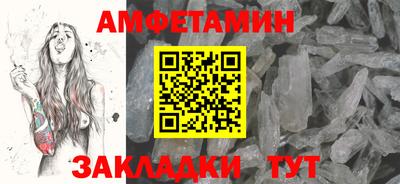 сатива Новозыбков