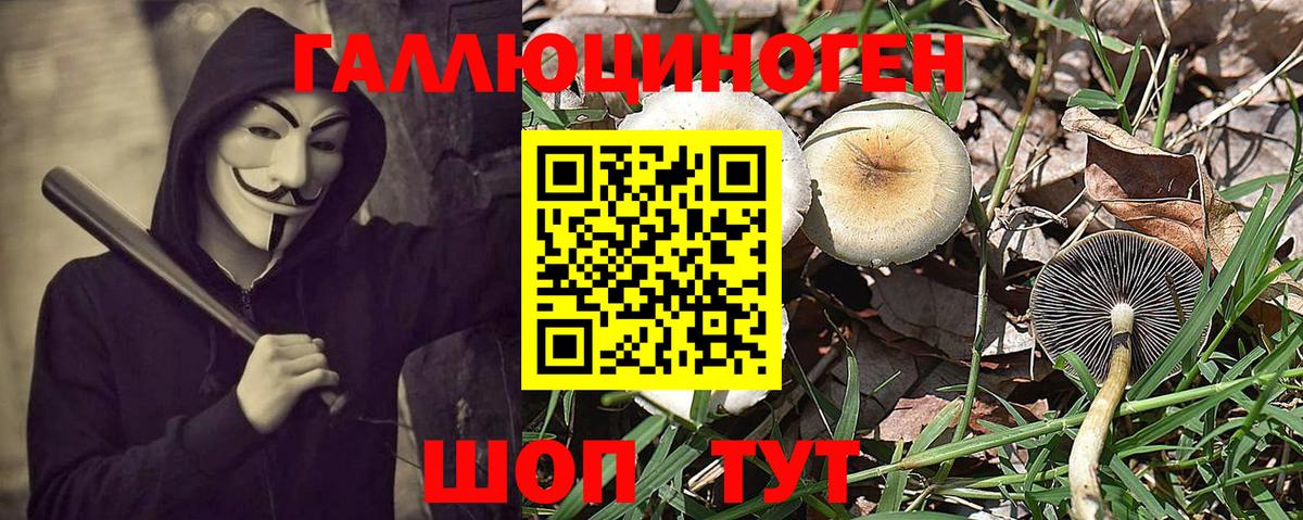 Балтийск  Галлюциногенные грибы Psilocybe  Вход с VPN 