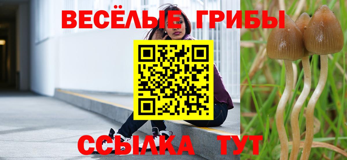 Галлюциногенные грибы Magic Shrooms Балтийск